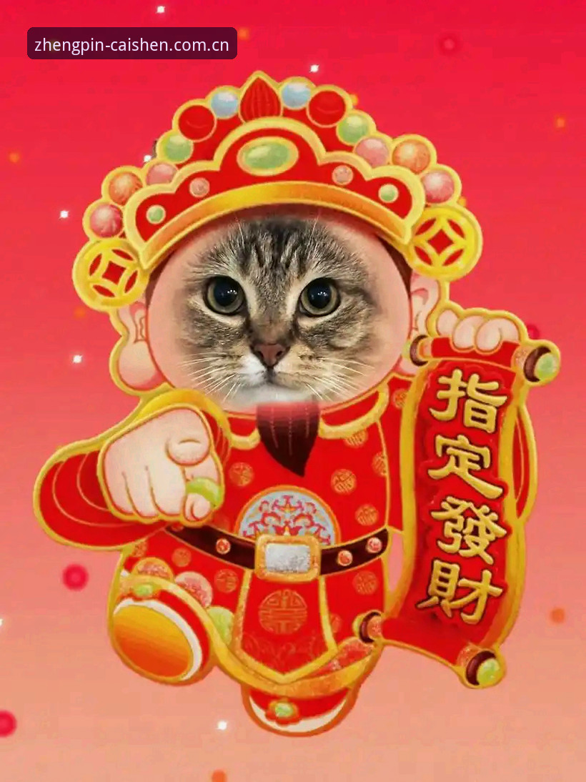 财神到平台深度解析：新手如何快速上手与玩法全攻略